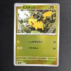 ポケモンカード ピカチュウ 225/742 スタートデッキ100 ミラー仕様