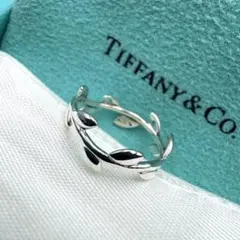 TIFFANY&Co】鏡面仕上げ バンブーリング 6号 希少 廃盤 - メルカリ