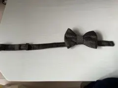 ブラウン　蝶ネクタイ　ボウタイ