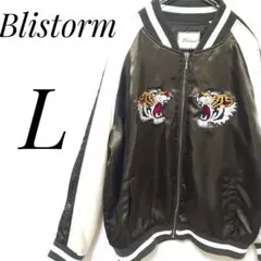 Item thumbnail for item d28e6bd9-318b-4f0d-8913-b02f1a8f56ba