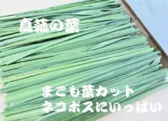 2025年最新】乾燥マコモ葉の人気アイテム - メルカリ