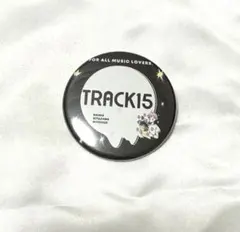 TRACK15 버튼 배지