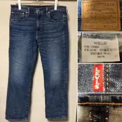 Levi's 569 リーバイス 極太 big E ワイドパンツ バギー W32