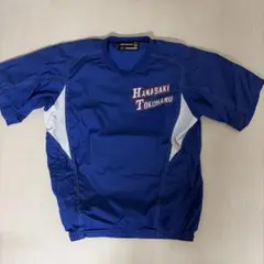 智辯学園21年春選抜甲子園 長袖Vジャン非売品 即決値下げ可能 - メルカリ