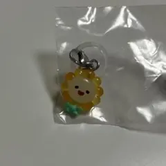 JOCHUM めじるしアクセサリー Bira 佐藤景瑚