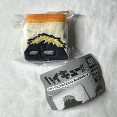 ハイキュー!! アニマルマスコット あっぷりけポーチ ツキガラス