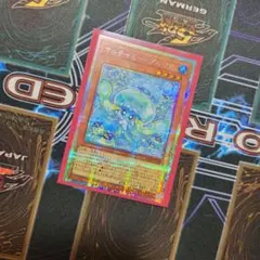 マルチャミー・プルリア　プリシク