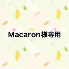 手袋シアター《５点セット》