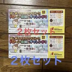 スパリゾートハワイアンズ 特別入場割引券 2026年夏のサムネイル