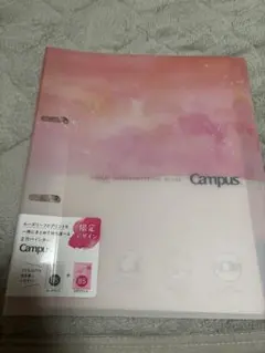 Item thumbnail for item 20dac050-f320-48d7-b002-c8d3df74f264