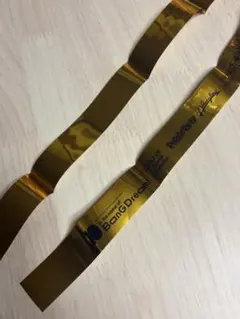 バンドリ 10th 記念ライブ 銀テープ BanGDream