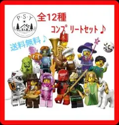 レゴ ミニフィギュアシリーズ29 71052 コンプリートセット 新品 - メルカリ