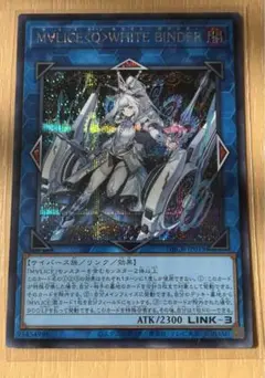 2025年最新】マリスクイーンホワイトバインダー シークレットの