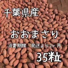 2026年最新】おおまさりの人気アイテム - メルカリ