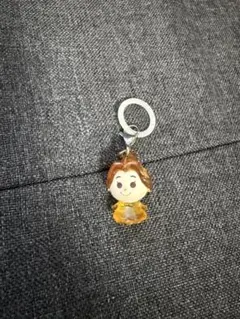 ディズニー 塔の上のラプンツェル パスカル めじるしアクセサリー