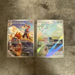 《早期発送》トゲキッス ar ヒビキのマグカルゴ ar メガドリームex