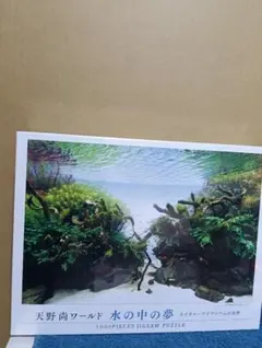 2026年最新】天野尚の人気アイテム - メルカリ