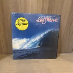 2025年最新】山下達郎 big waveの人気アイテム - メルカリ