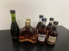 コニャック ミニボトル 7本セット MARTELL REMY MARTIN コニャック ミニボトル 7本セット MARTELL REMY MARTIN - メルカリ