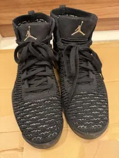 ☆美品☆NIKE JORDAN FLYKNIT ELEVATION23 27cm