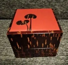 新品　飛騨高山　伝統工芸品 飛騨春慶塗　木製　手提げ重箱 新品 飛騨高山 伝統工芸品 飛騨春慶塗 木製 手提げ重箱 - メルカリ