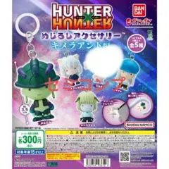 HUNTERXHUNTER　めじるしアクセサリー　キメラアント編　4種セミコンプ