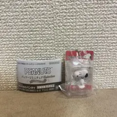 PEANUTS パッケージミニチュアコレクション