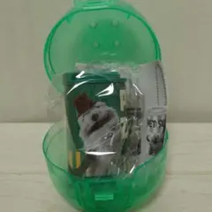 パペットスンスン コインケース グリーン（ゾンゾン）