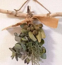 Item thumbnail for item b87ef655-60ee-4f0f-9e55-c3e939e070ab