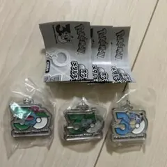 ポケモン　30周年　メタルチャームマスコット　フシギダネ　フシギバナ　カメックス