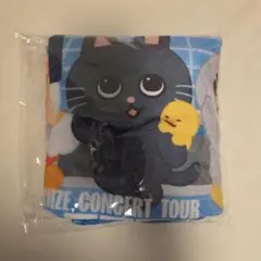 RIIZE 東京ドーム アプグレ特典 ブランケット