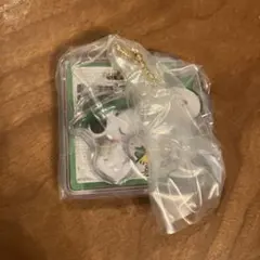PEANUTS SNOOPY パッケージチャーム スヌーピー ビーグルスカウト