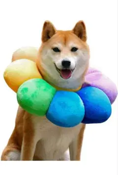 Komiiビーズ エリザベスカラー 猫用 兔用 小型犬用 ペット用品 傷舐め防止のサムネイル