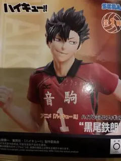 黒尾鉄朗 フィギュア