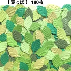 【葉っぱ】エンボス クラフトパンチ 6色 180枚 リーフ グリーン 葉 若葉のサムネイル