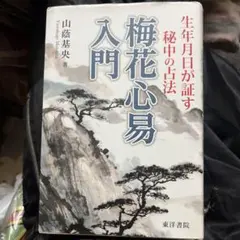2026年最新】秘伝 梅花心易入門の人気アイテム - メルカリ