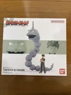 未開封 ポケモンスケールワールド カントー地方 タケシ&イワーク