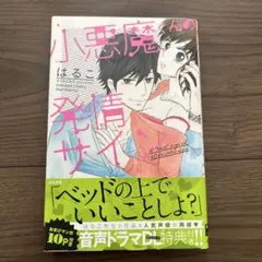 メル10412様 リクエスト 2点 まとめ商品