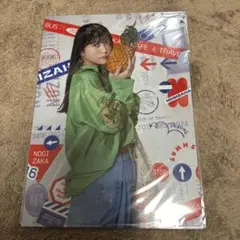 Item thumbnail for item 0c878647-e2d3-42cd-abd5-2b9702cd146e