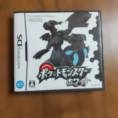 ポケットモンスター ホワイト (DS)