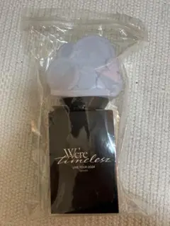 オリジナルペンライト We're timelessz 2024