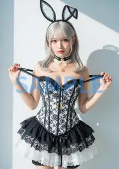 L1531　AI美女 A4ポスター コスプレ　水着　グラビア ランジェリー