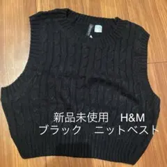 【新品未使用】H&M ニット ベスト ブラック