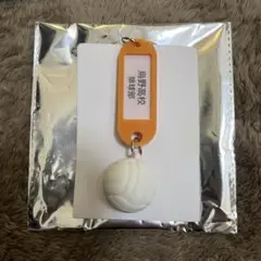 ハイキュー　トレーディング高校名付き鍵チャームキーホルダー　烏野高校