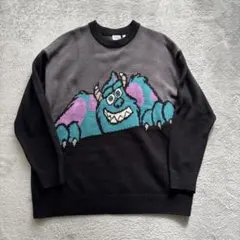 Disney モンスターズインク サリー ニット セーター ピクサー