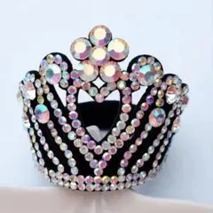 Item thumbnail for item 0fecf643-3168-492d-9379-2e16d49a7668