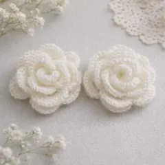 Item thumbnail for item 4453c757-f9b1-4260-9165-cbe97d9496a2