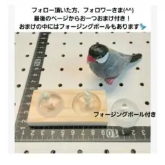 ◇88〗バードトイ フォージングトイ インコ 文鳥 輪投げ フォージング