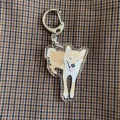 【柴犬】オリジナルイラスト　アクリルキーホルダー　他犬種ありますのサムネイル