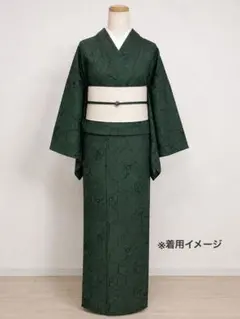 夏着物 小紋 深緑色 単衣のサムネイル